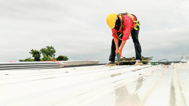 Best Solar Panel Roofing Installation  in Lake Dunlap, TX